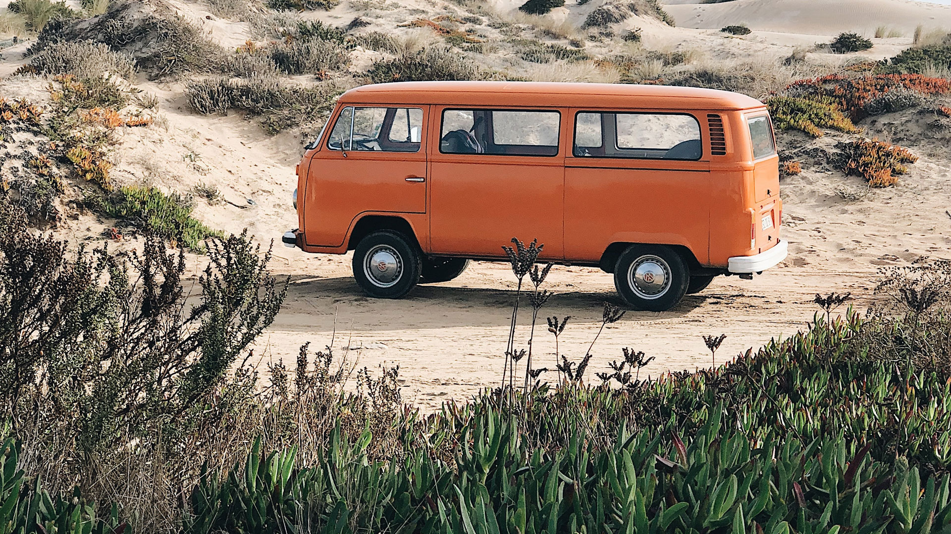 Habits Like Everyone Else’s?